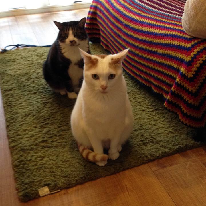 492a79d2 a41a 4b9f 986a 6fa62425fee2