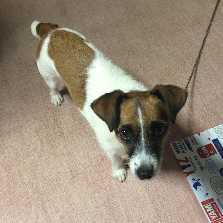 492a95f5 3267 4eae 8d6f 07cf6146b0a5