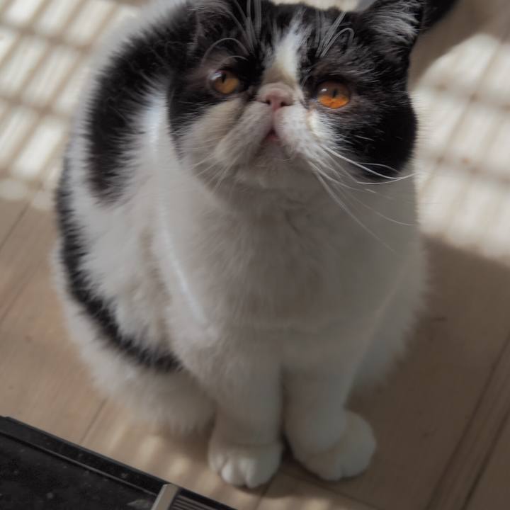 492b0d8d 8f99 4cac aca8 89459526df64