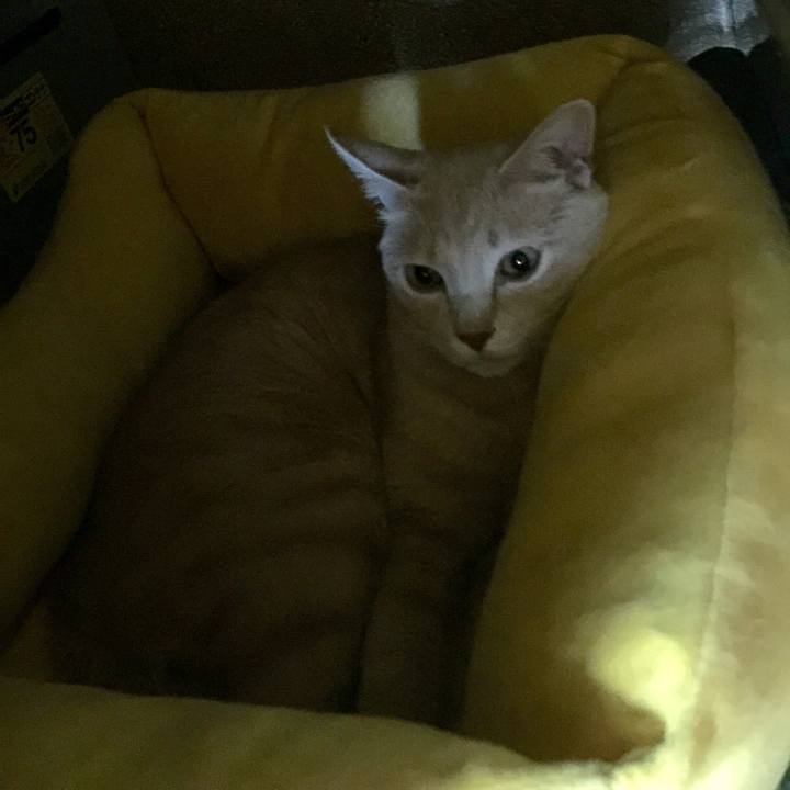 492b3cf3 ee34 42c7 9319 032f49053f44