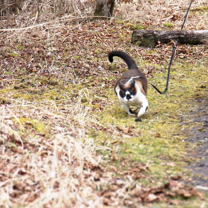 492b50f1 ff9c 4b09 8eaa 807e956fa2aa