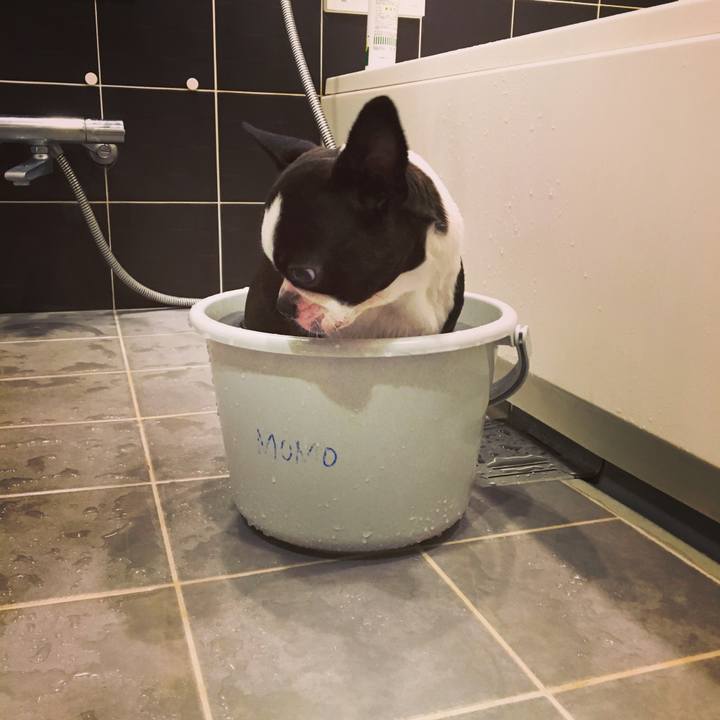 492be871 80e8 4c3a bf27 398fbd52b950