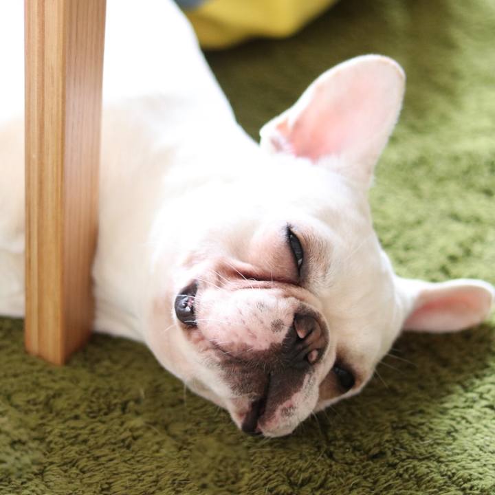 492cb813 5eb6 4283 b0ae 0c432612c955