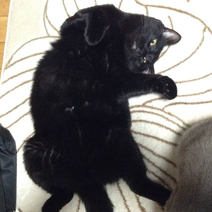 492cfa69 673c 4d8d afed d500b70f3ce1