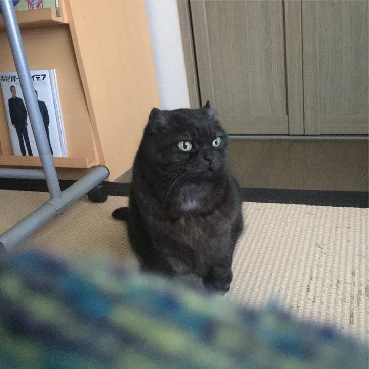 492d0d98 8077 47a6 ad28 3de8ed3cdb2f