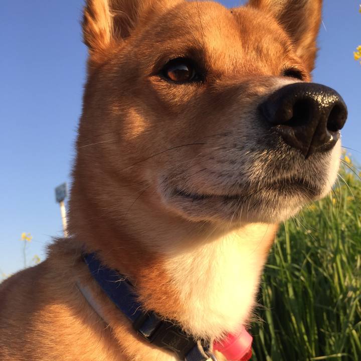 492d0f6d 8e75 4eee bd09 bcd19ba65900