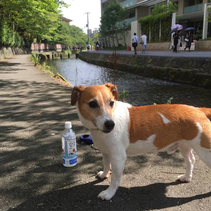 492d17ab e84b 4fa7 b909 43201c83651a