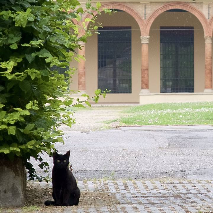 492d4d09 aa3d 4ea0 8f1b 40e56c9eb1fa