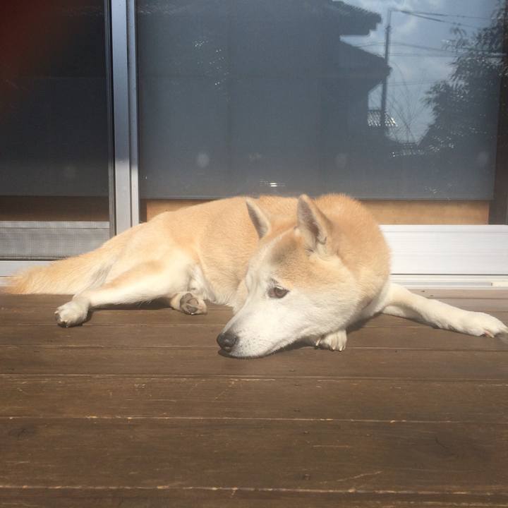 492dadfa 8ad1 472a 9438 acd821a7776f