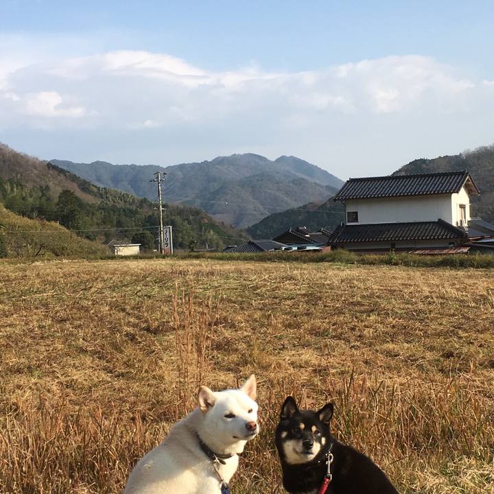 492dbe2b 7371 4528 9cd2 11ca28da9f99