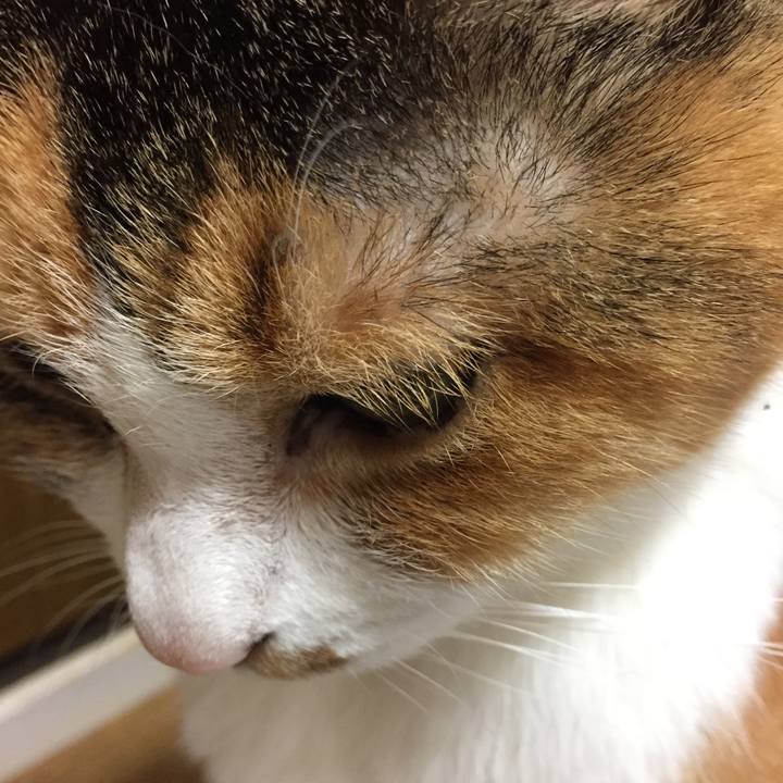 492e1db8 d476 44c4 b6aa 9c39684a19b4