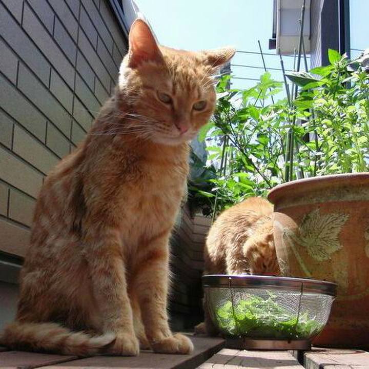 492e3b14 c810 41f6 9326 8a29195aedba