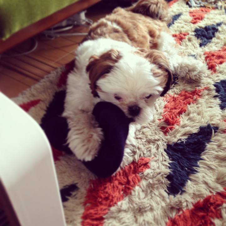 492e90a4 e358 4ead 95b8 b3f2daff8658