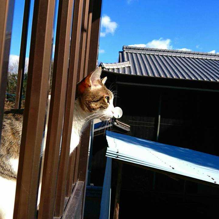 492ee6c7 b204 4a24 8f6d 241fd25aa6a2