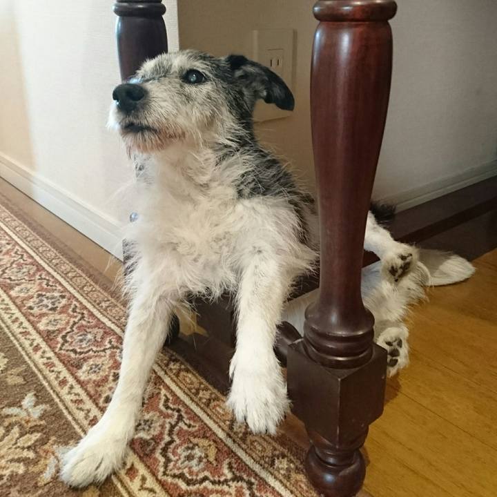 492f02dc 8aef 4ac1 9404 c5353c58eb08