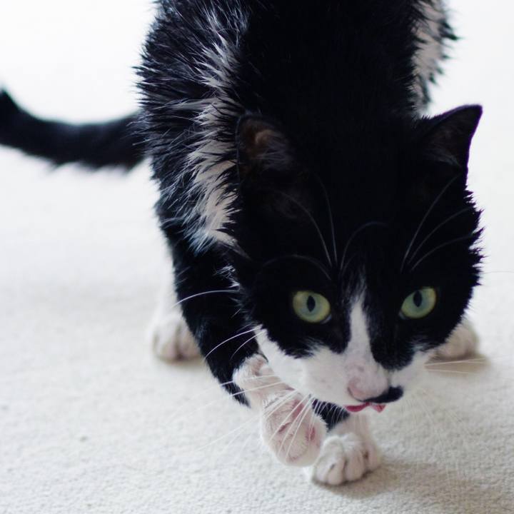 492f6ee1 79f8 4fe5 a22d 1d5eeb98848d