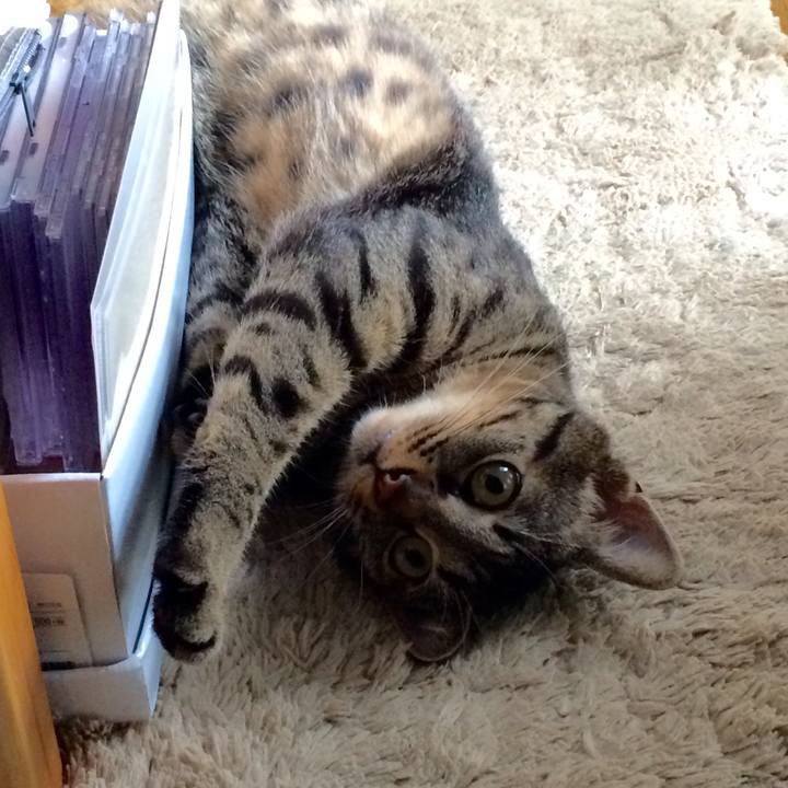 49302585 75a3 40ae a87c df90ee825eec