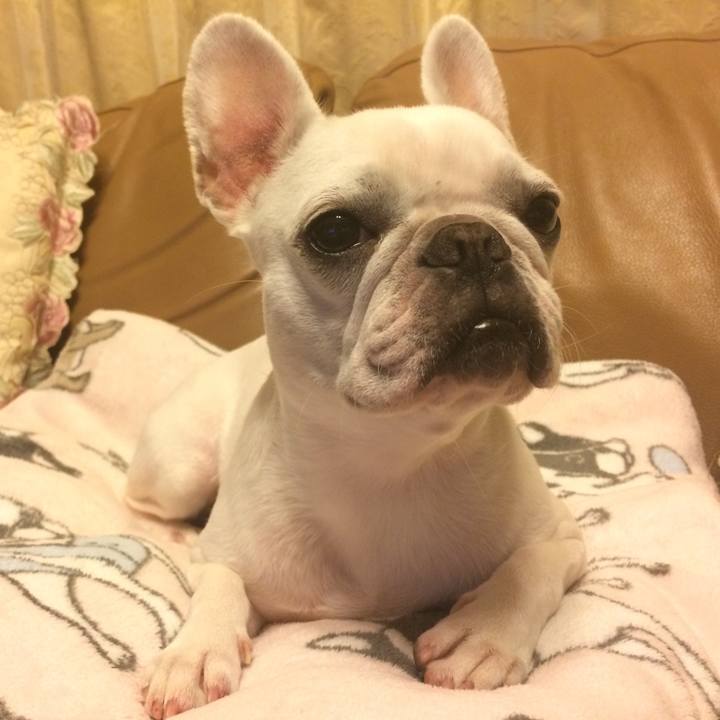 49302775 cddb 4b02 af22 0cc1f2e5d378