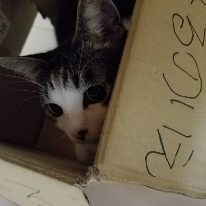 49304bdf 1adf 46df 8edd 517bff3f5c5c