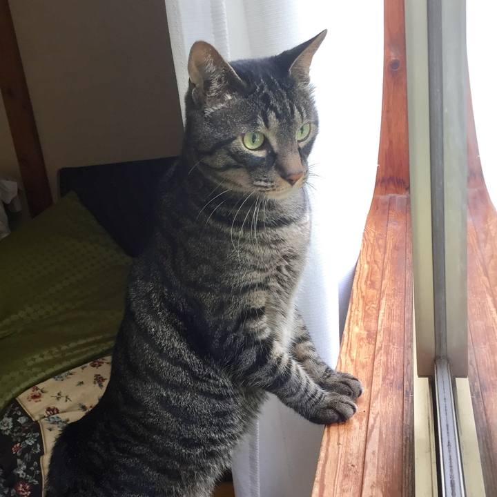 493079bd 91af 4d57 84de c22792373f1e