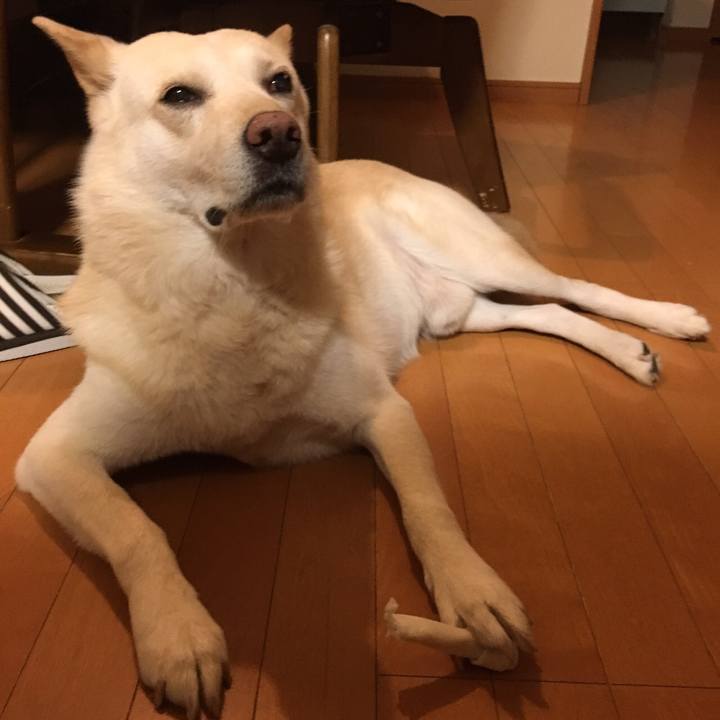 493153ee bf1a 4e41 9b78 1b1c55184381