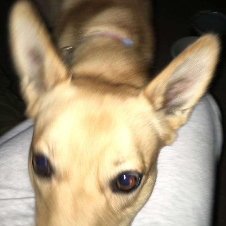 49316c81 57b1 4b94 b4cc 662c698ffd83