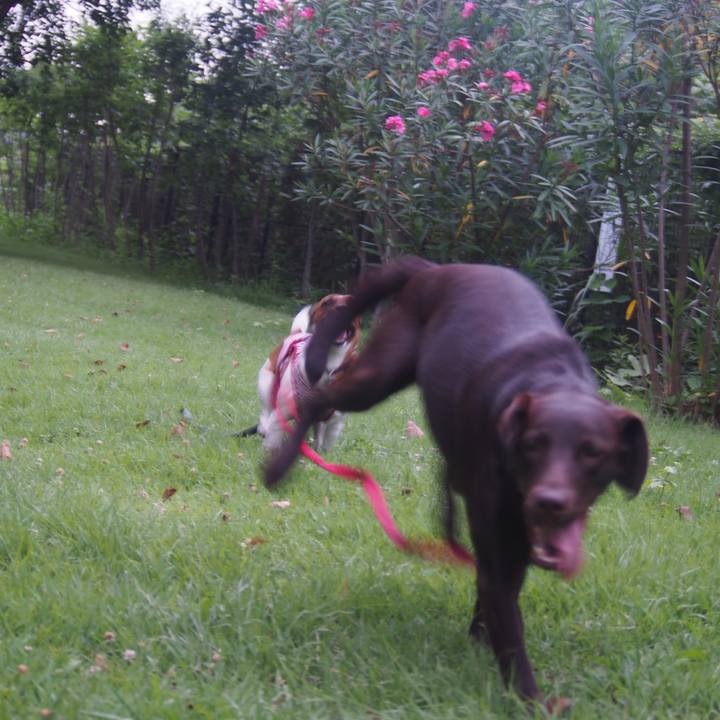 4931b7e5 4347 45bf bed0 bd4c4cd18669