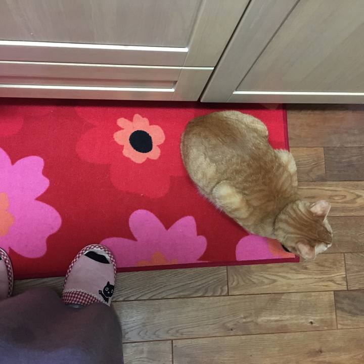 4932dff1 6247 4c4f b1a1 6a9d0bb60046