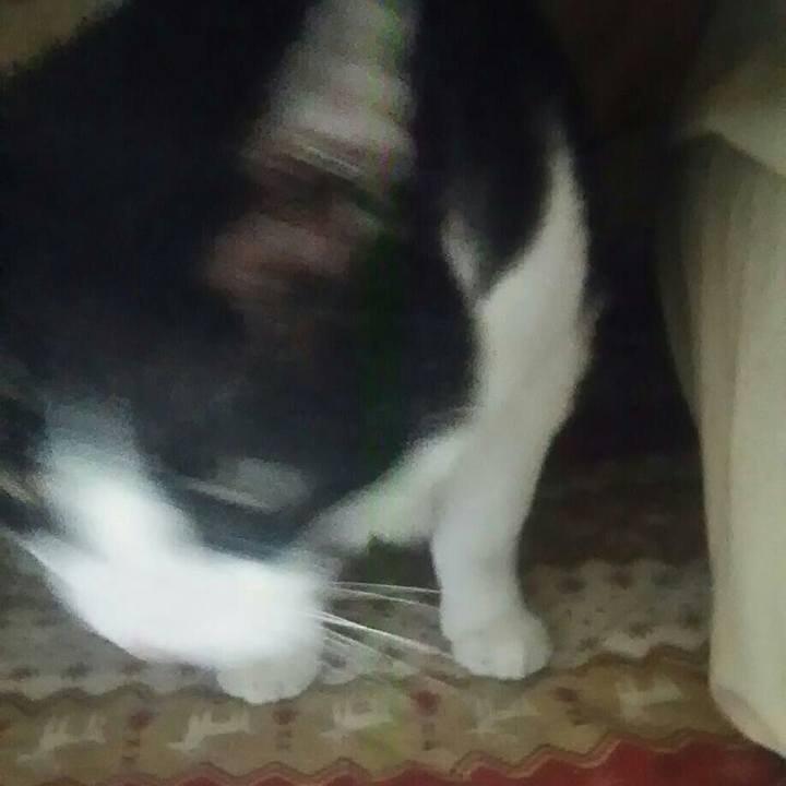 4933ce26 a07e 4969 898e f4439518d2dd