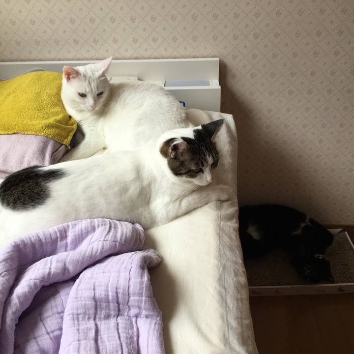 49348f08 6e88 489c 8a68 843134c580df