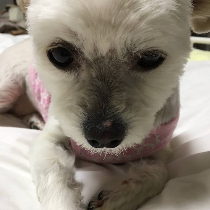 4934ce02 31f8 40ef a573 daeac01f69fd