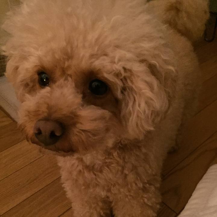 49359798 bbb3 43c1 8272 d36fa5980be1