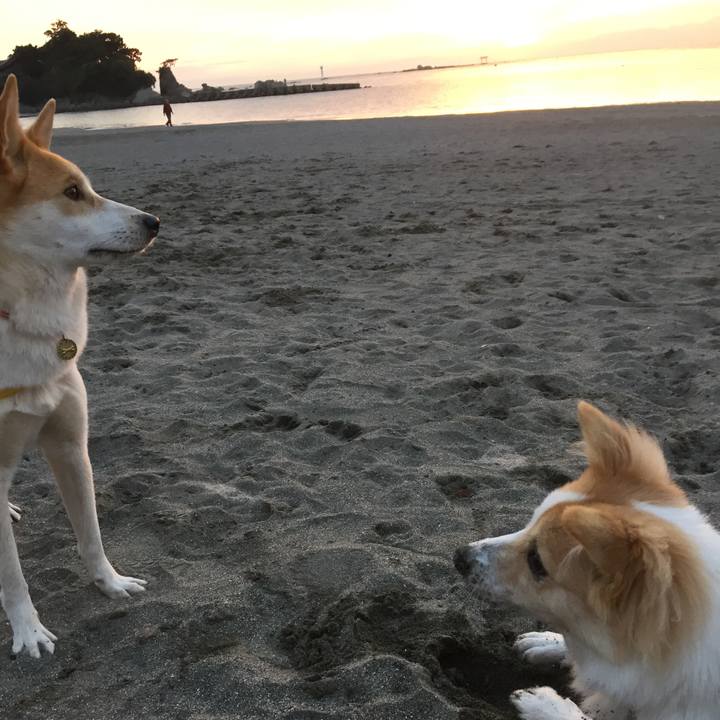 4935aad2 28f5 400e 840e 1d645764892d