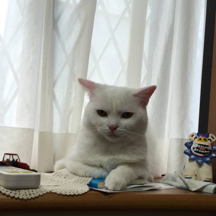 4935e69a 66cf 4a7a abd7 d24824fdaa96