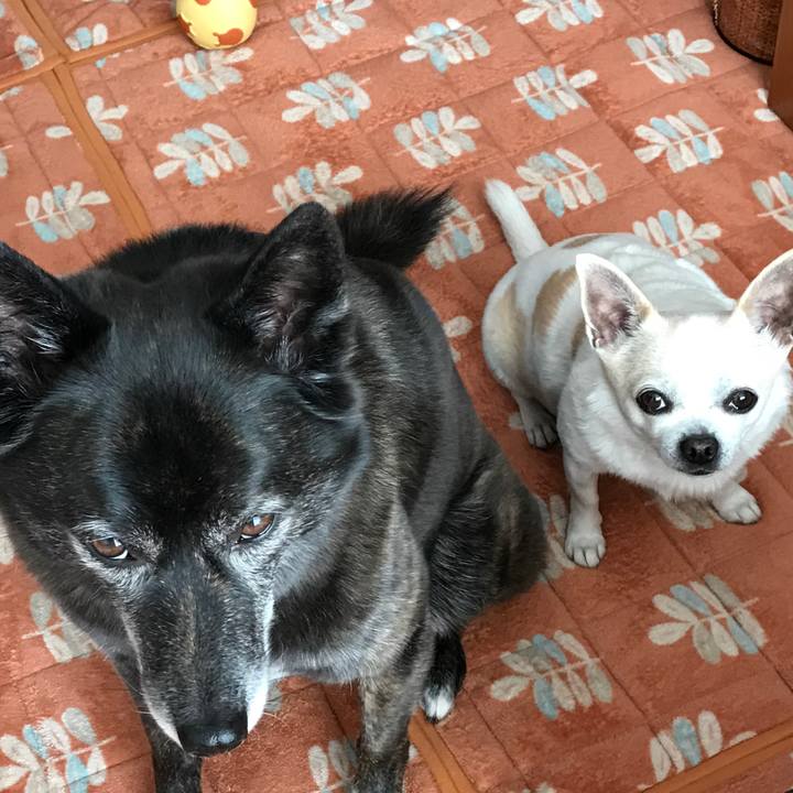 493618b7 7ae7 4927 89d6 a9f95f7a508b