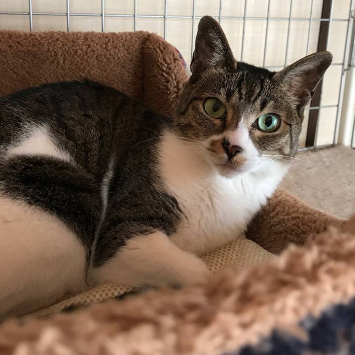 4936db14 76ec 4b88 9a71 34f70ca6f677