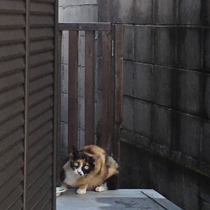 493756b6 ac30 4c29 b05b 74c2b74735cb