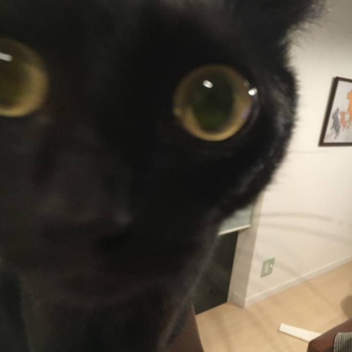 49376e55 0a08 4a58 99c0 314e2aaaaefb