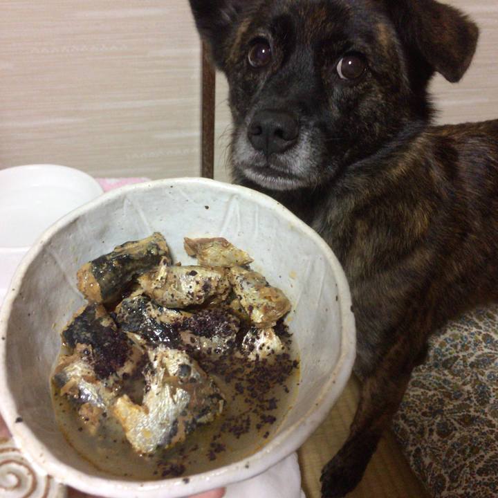 49379aee 7184 46bf b10b 167bc485c1fa