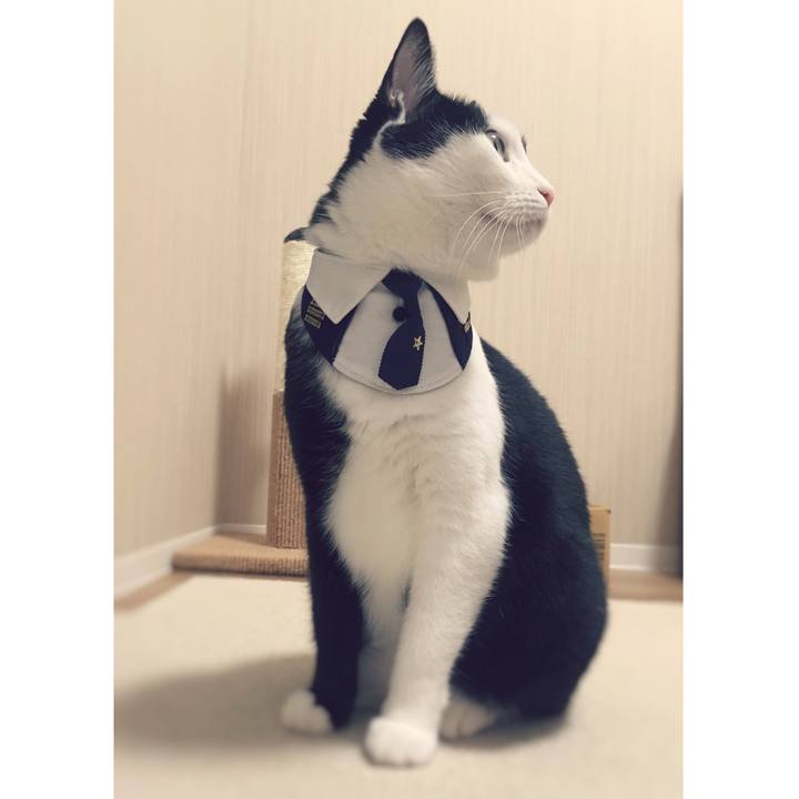 4937d82e 6856 4d5d aa12 50394bbf1ec9