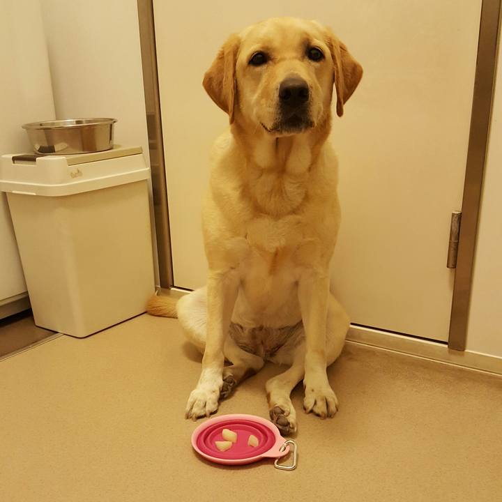 49383978 bf7a 4008 86a9 1b33d6462d82