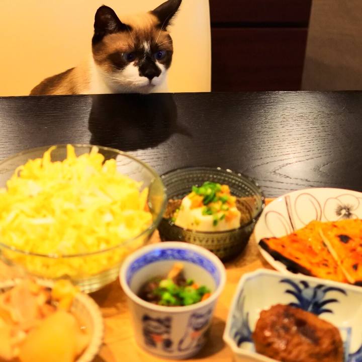 49386388 053b 4233 9688 6fd43b88462a