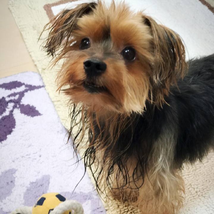 49387785 d65a 4990 974f 4290ebf75993