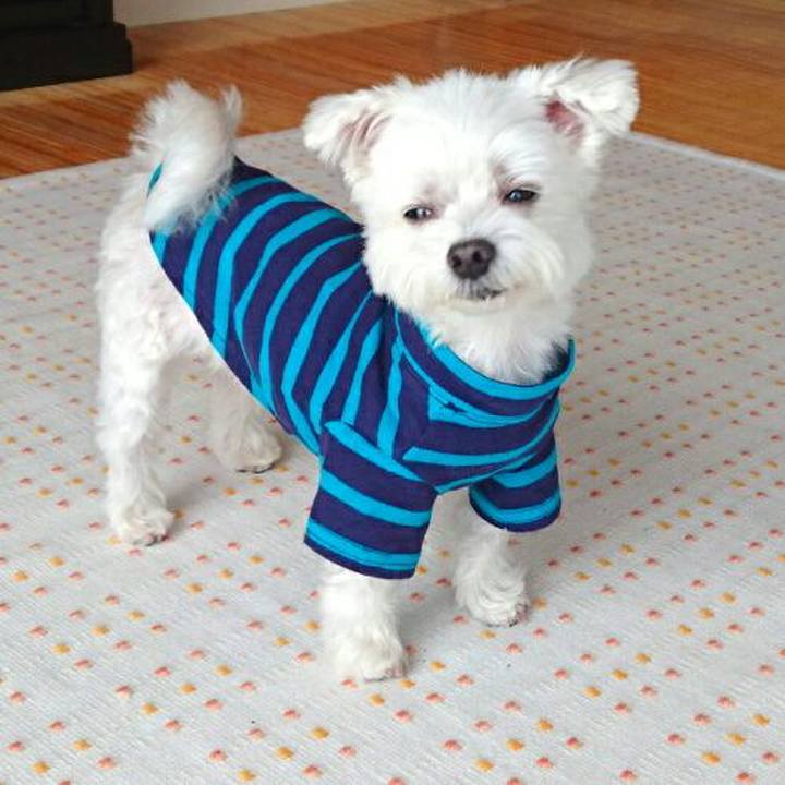 4938bab4 ff76 4e64 b000 39f2257e1091