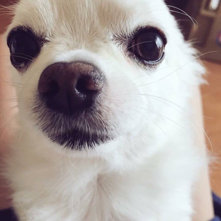 49392284 4fc0 4ec8 814d 08af47e06848