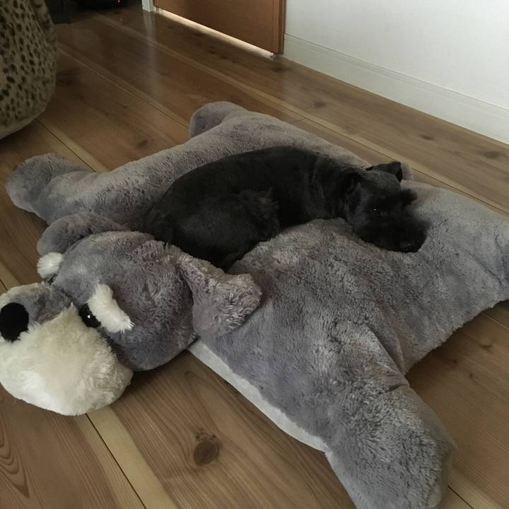 4939be50 6121 4690 a5ce fad5724ebb43