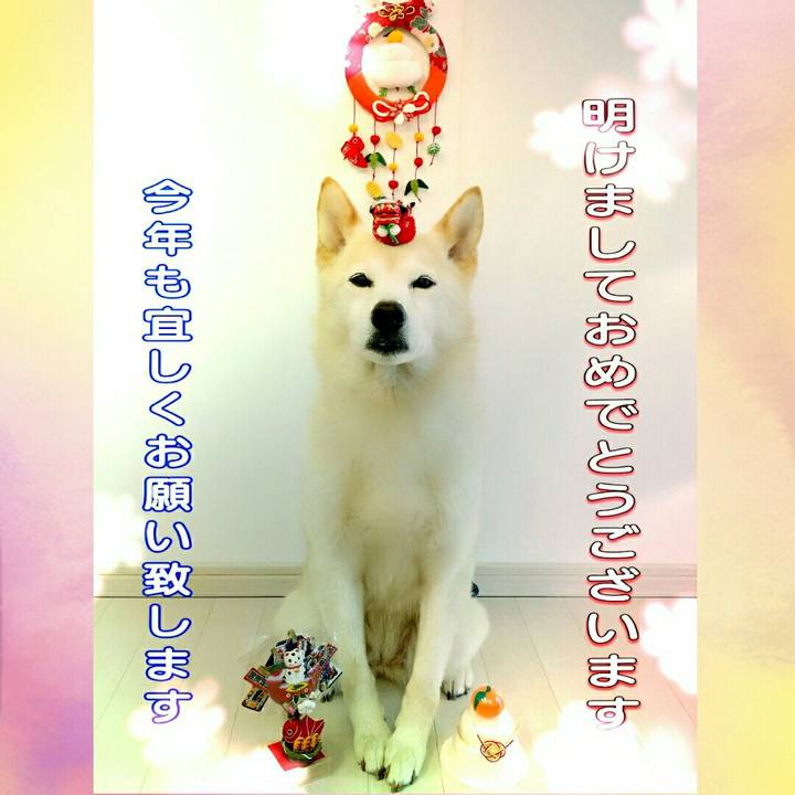 4939c6d9 62b5 4182 95c4 36c13ea2876d