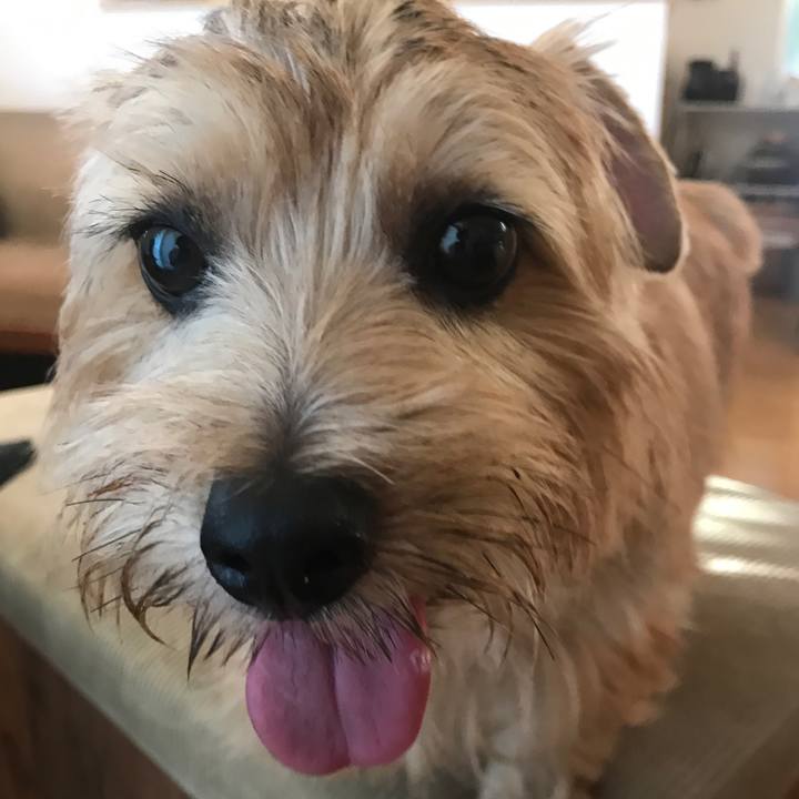 493a203a 3524 499d 9ec2 7cf8600976bc