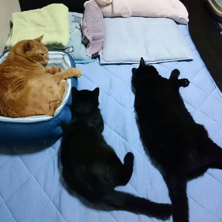 493a203f df7e 4f66 9f70 92e2305e97b1