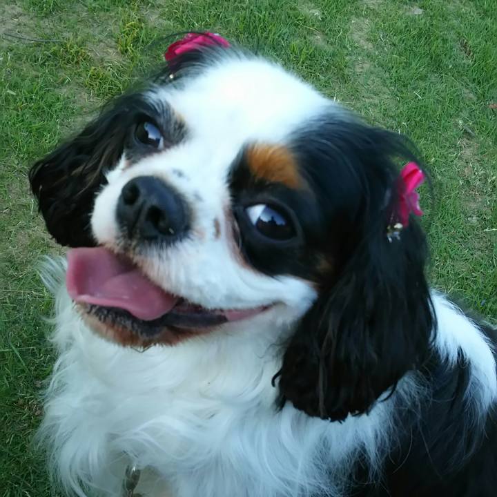 493ac9e0 8317 4943 a751 7823f93b3fac